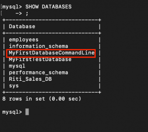 mysql show databases just shows pointer on ubuntu