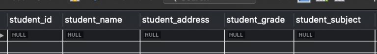 mysql-get-column-names-and-datatypes-of-a-table-thispointer